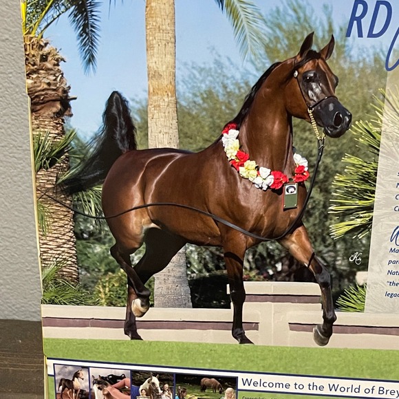Breyer RD Marciea Bey Mare 1:9 Scale Arabian Brown Horse Collectable Horse - Picture 6 of 6
